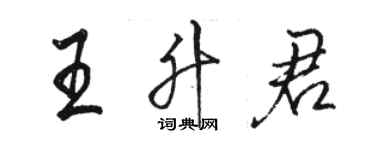 骆恒光王升君行书个性签名怎么写