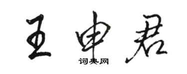 骆恒光王申君行书个性签名怎么写