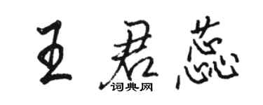 骆恒光王君蕊行书个性签名怎么写