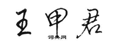 骆恒光王甲君行书个性签名怎么写