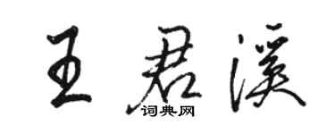 骆恒光王君溪行书个性签名怎么写