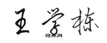 骆恒光王学栋行书个性签名怎么写