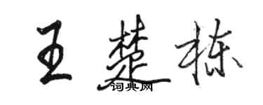 骆恒光王楚栋行书个性签名怎么写