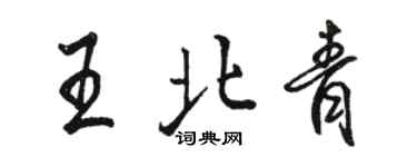骆恒光王北青行书个性签名怎么写