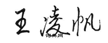 骆恒光王凌帆行书个性签名怎么写