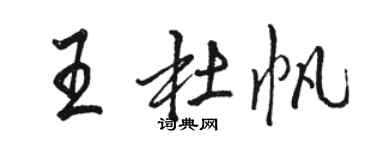 骆恒光王杜帆行书个性签名怎么写