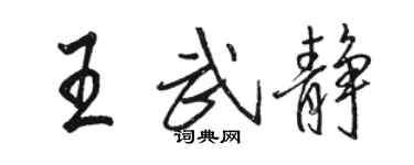 骆恒光王武静行书个性签名怎么写