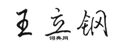 骆恒光王立钢行书个性签名怎么写