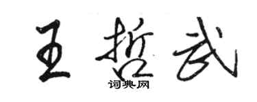 骆恒光王哲武行书个性签名怎么写