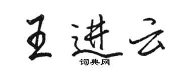骆恒光王进云行书个性签名怎么写