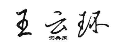 骆恒光王云环行书个性签名怎么写