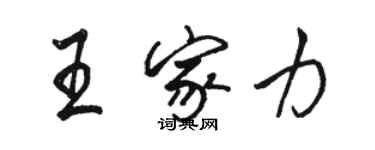 骆恒光王家力行书个性签名怎么写
