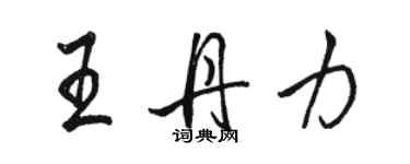骆恒光王丹力行书个性签名怎么写