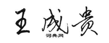 骆恒光王成贵行书个性签名怎么写
