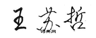 骆恒光王苏哲行书个性签名怎么写