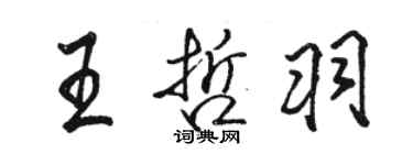 骆恒光王哲羽行书个性签名怎么写