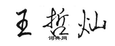 骆恒光王哲灿行书个性签名怎么写