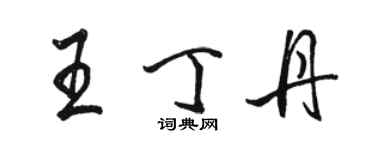骆恒光王丁丹行书个性签名怎么写