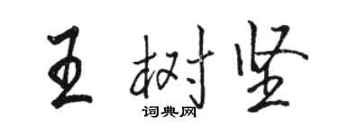 骆恒光王树坚行书个性签名怎么写