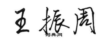 骆恒光王振周行书个性签名怎么写