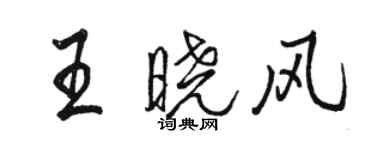 骆恒光王晓风行书个性签名怎么写