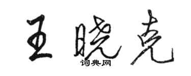骆恒光王晓克行书个性签名怎么写