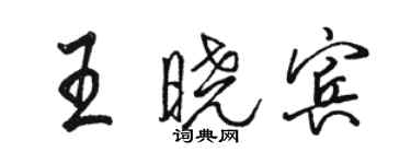 骆恒光王晓宾行书个性签名怎么写