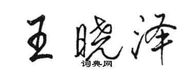 骆恒光王晓泽行书个性签名怎么写