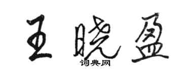 骆恒光王晓盈行书个性签名怎么写