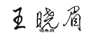 骆恒光王晓眉行书个性签名怎么写
