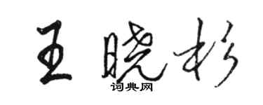 骆恒光王晓杉行书个性签名怎么写