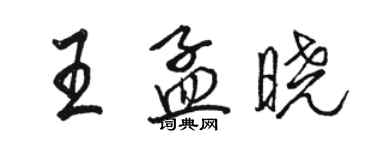 骆恒光王孟晓行书个性签名怎么写