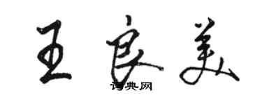 骆恒光王良美行书个性签名怎么写