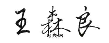 骆恒光王森良行书个性签名怎么写