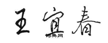 骆恒光王宜春行书个性签名怎么写