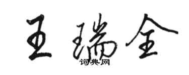 骆恒光王瑞全行书个性签名怎么写