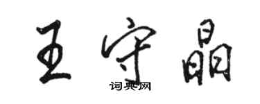 骆恒光王守晶行书个性签名怎么写