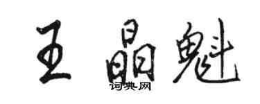 骆恒光王晶魁行书个性签名怎么写
