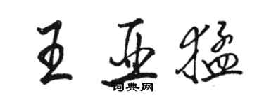 骆恒光王亚猛行书个性签名怎么写