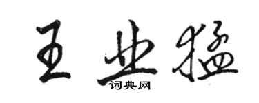 骆恒光王业猛行书个性签名怎么写
