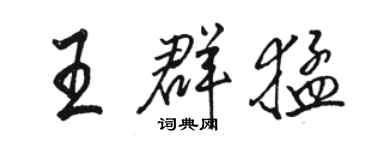 骆恒光王群猛行书个性签名怎么写