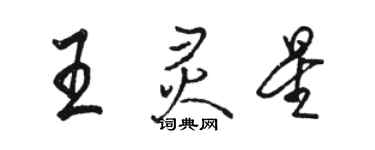 骆恒光王灵星行书个性签名怎么写