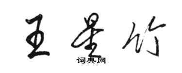 骆恒光王星竹行书个性签名怎么写