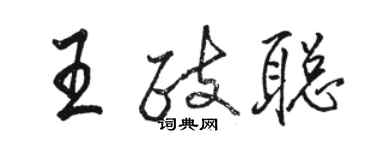骆恒光王政聪行书个性签名怎么写
