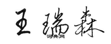 骆恒光王瑞森行书个性签名怎么写