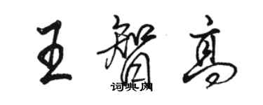 骆恒光王智高行书个性签名怎么写