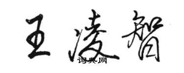 骆恒光王凌智行书个性签名怎么写