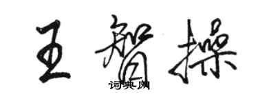 骆恒光王智操行书个性签名怎么写