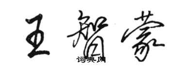 骆恒光王智蒙行书个性签名怎么写