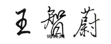 骆恒光王智蔚行书个性签名怎么写